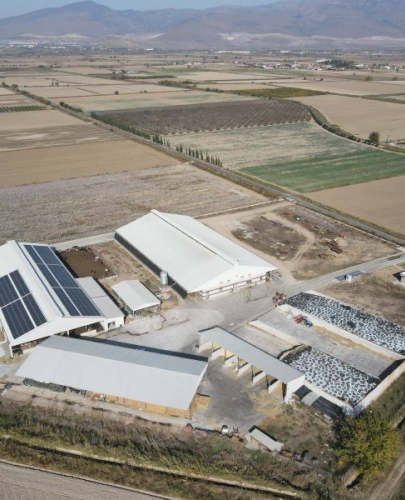 Yonca Hayvancılık GES